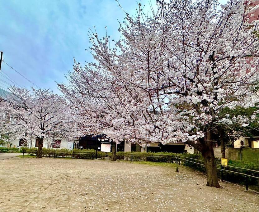 Kotori House アパート 京都市